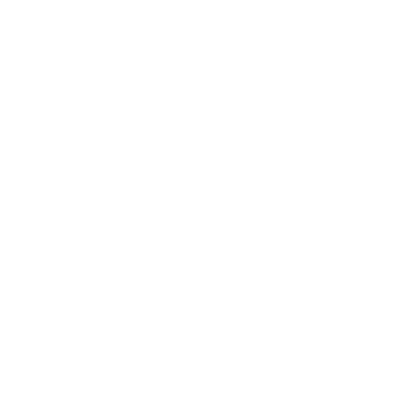 STEK