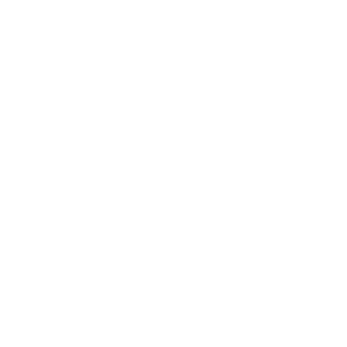STEK